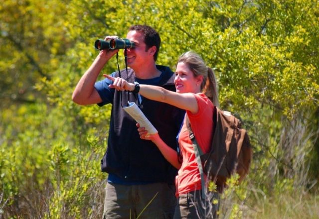Monthly Bird Hike Event